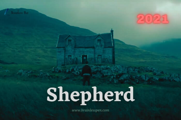 Shepherd ending explained - brainless pen