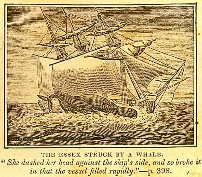 real Essex ship image