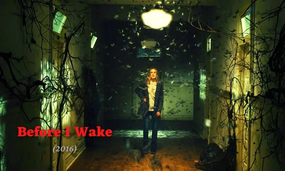 Before I Wake (2016) ending explained