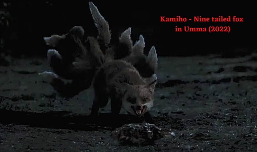 Kamiho - Nine tailed fox in Umma (2022)