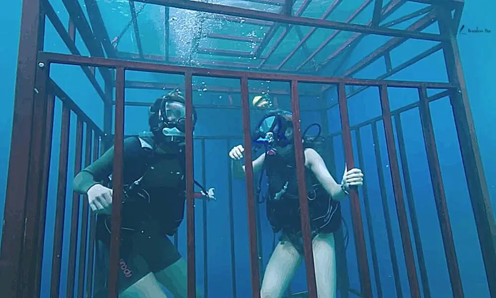 Lisa and Kate trapped inside the cage