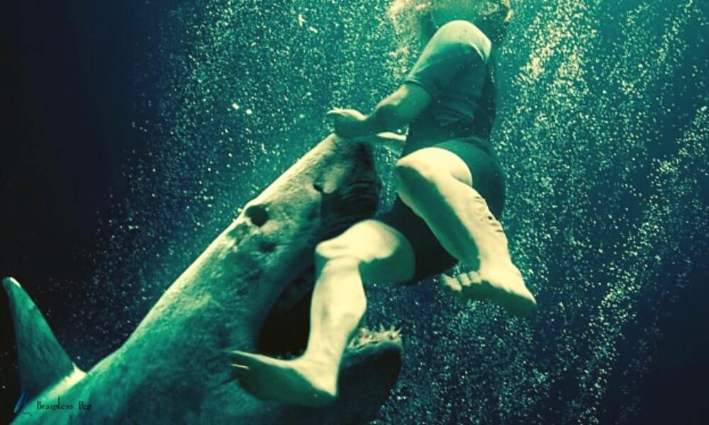 Mia fighting with shark in the end of the movie 47 meters down uncaged (2019)